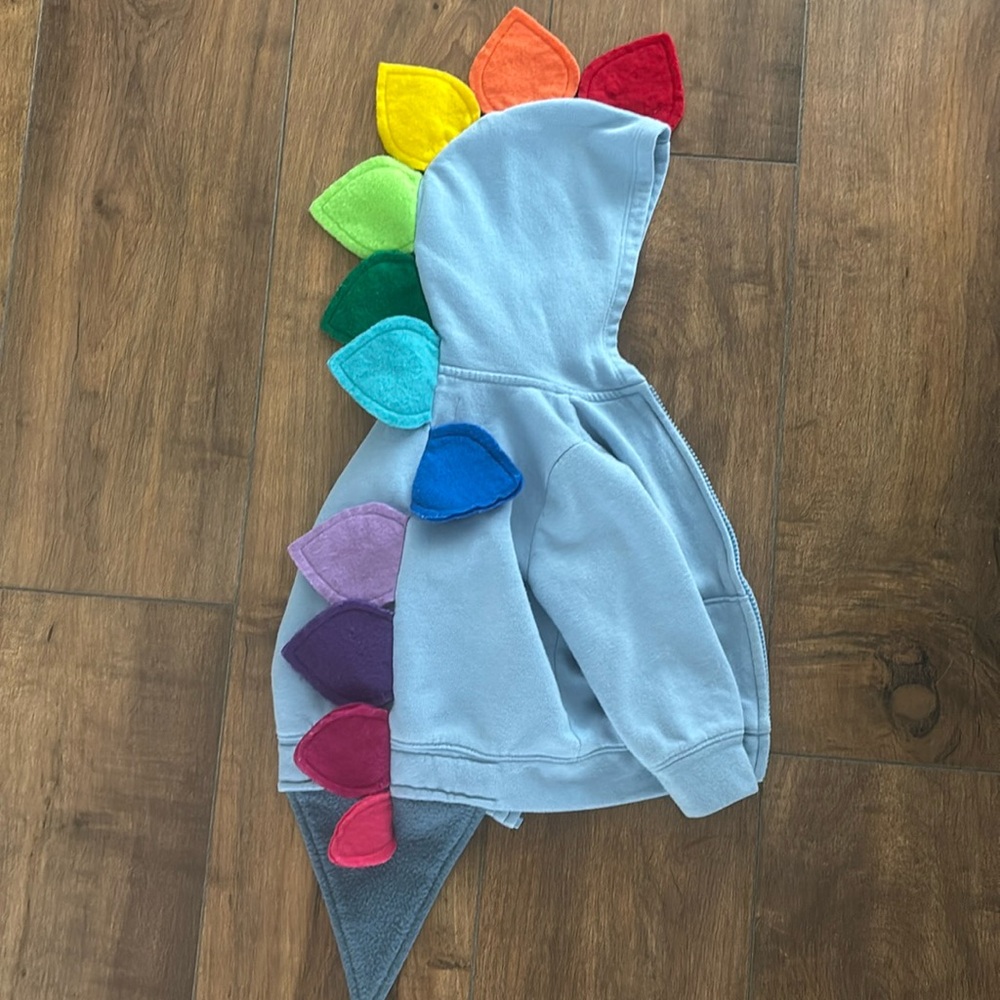 Dino hoodie 18m